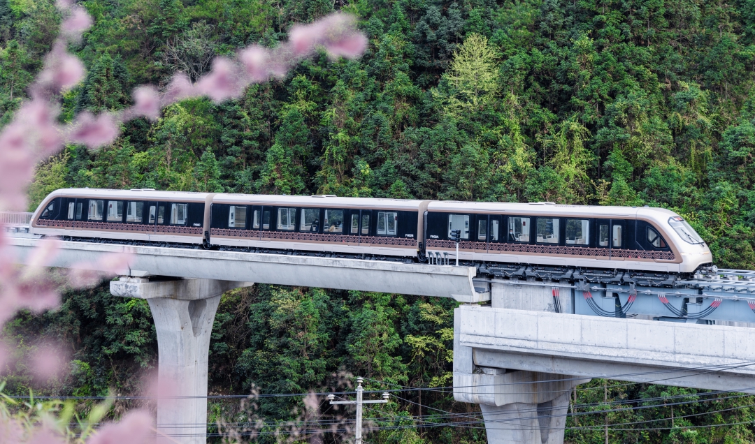 20240929504977.jpg 用01.jpg